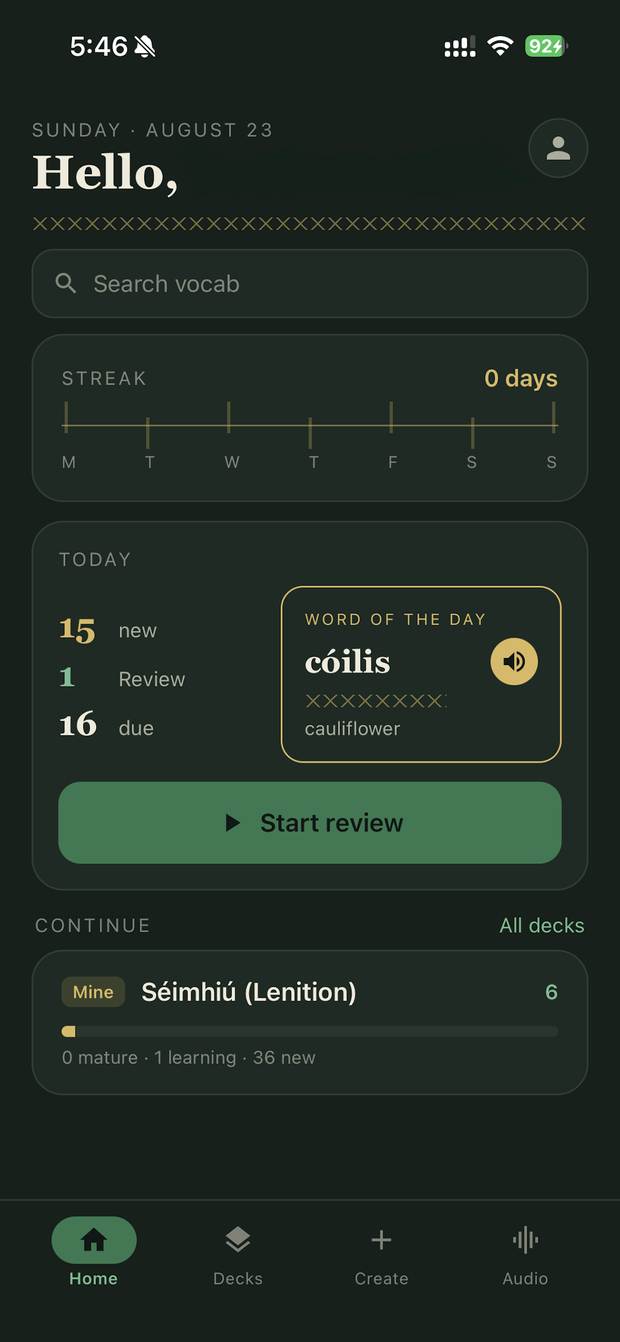 Eirelingo app screenshot